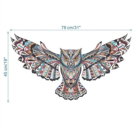Cartoon Wall Decals Colorful Owl