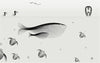 Black And White Minimalist Whales and Turtles Wallpaper Mural