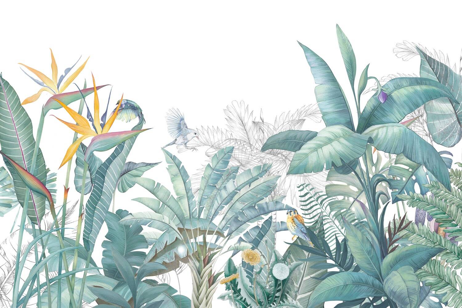 Light Green Strelitzia Leaves Wallpaper Mural