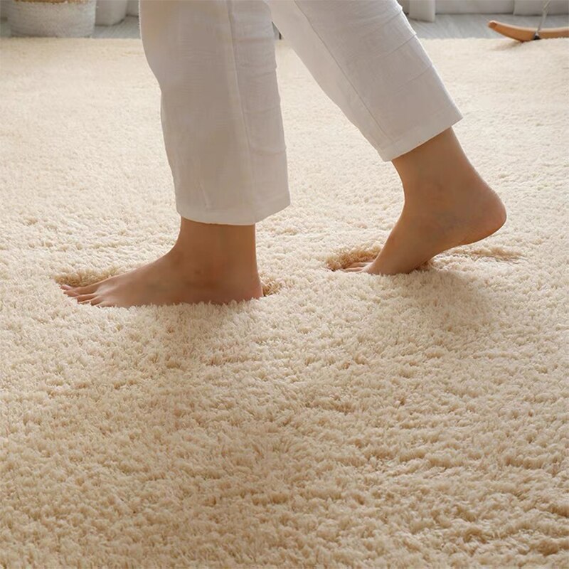 Monochromatic Plush Soft Area Rug